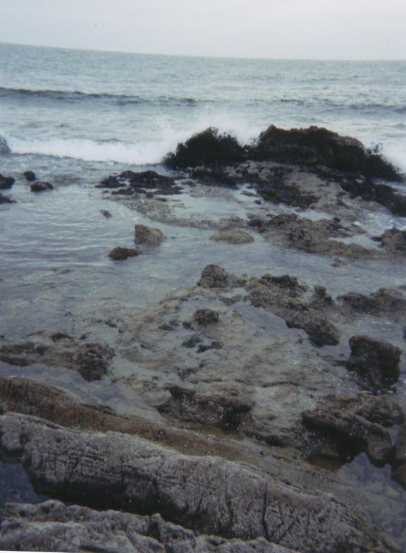 wavebreaeker.jpg